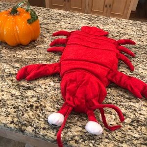 Lobster Dog Costume
